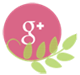 Pint Size Farm Google Plus