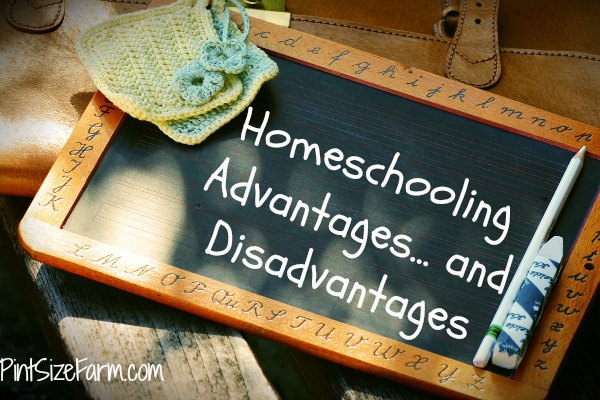 Homeschooling Advantages and Disadvantages