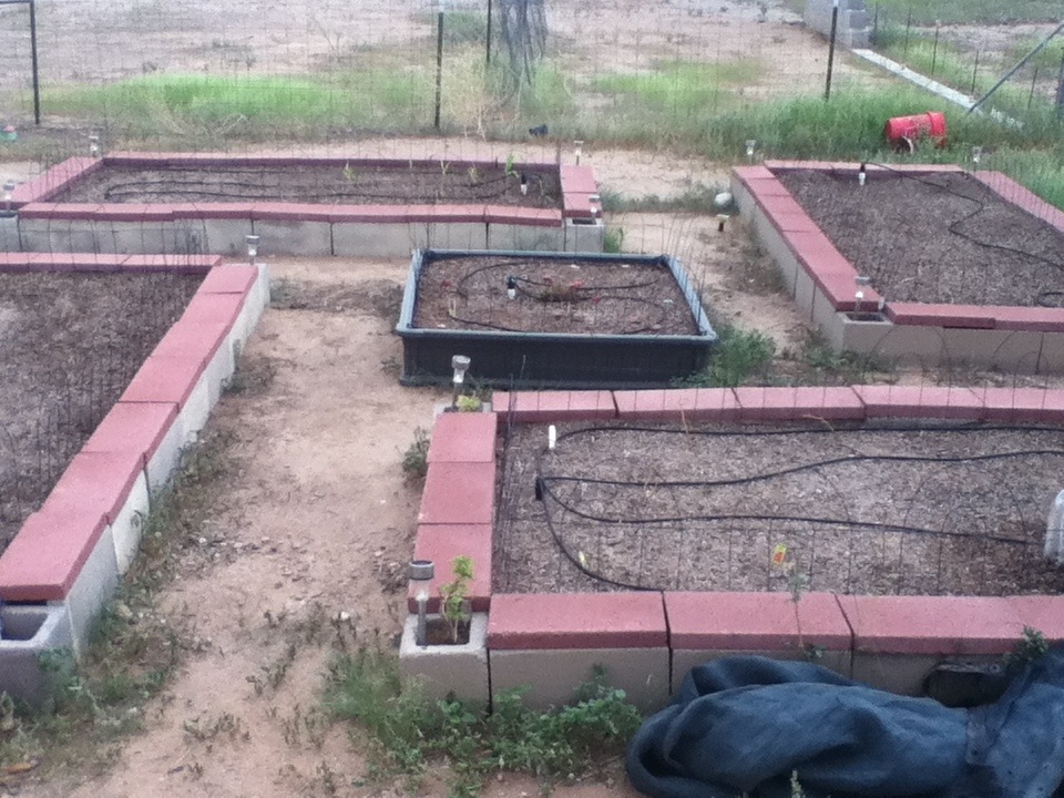 Concrete #Block #Raised #Garden #Bed - Pint Size Farm
